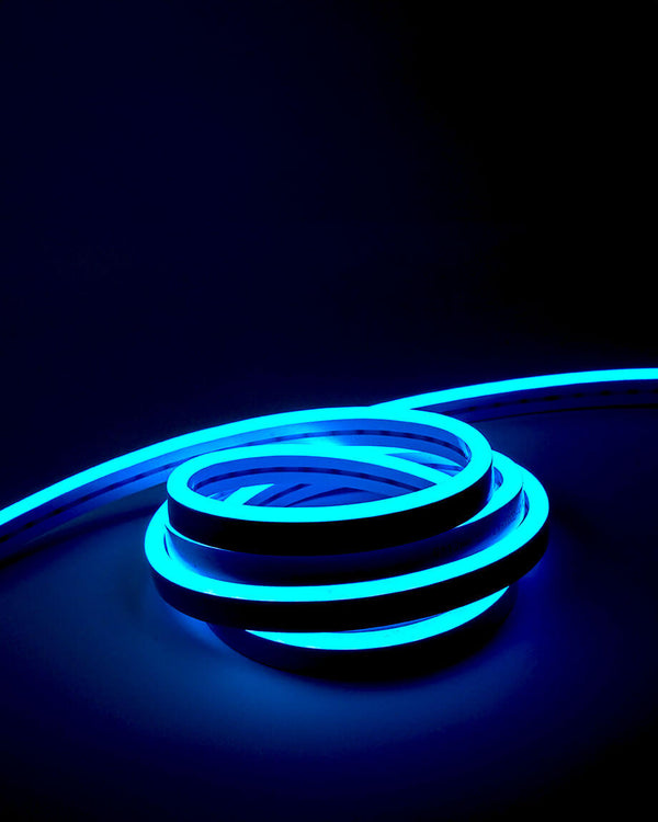 LED Neon Flex