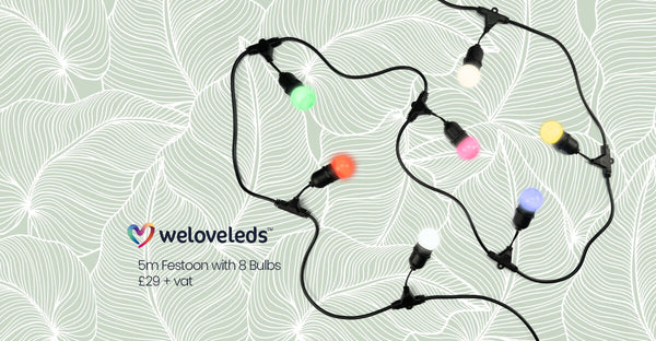 Incredible Double Discount! August-Only Offer, Don’t Miss Out.