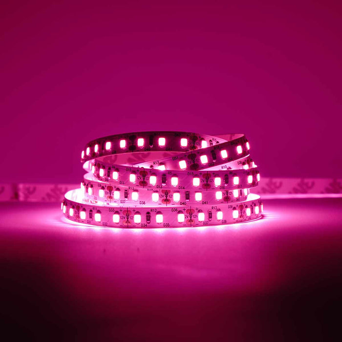Classic LED Strip (2nd Gen) | IP20 | 120LEDs p/m | 12V | 8mm | Cut every 25mm | 9.6W p/m | p/metre & reel WeLoveLeds