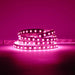 Classic LED Strip (2nd Gen) | IP20 | 120LEDs p/m | 12V | 8mm | Cut every 25mm | 9.6W p/m | p/metre & reel WeLoveLeds