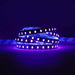 Classic LED Strip (2nd Gen) | IP20 | 120LEDs p/m | 12V | 8mm | Cut every 25mm | 9.6W p/m | p/metre & reel WeLoveLeds